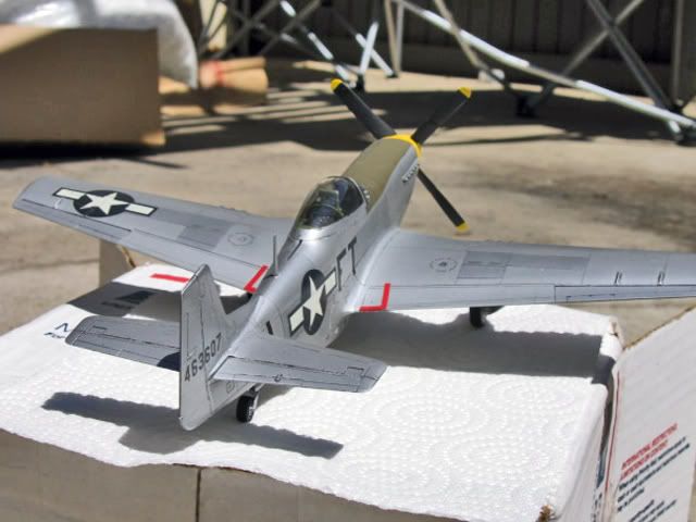 HaseP5112.jpg