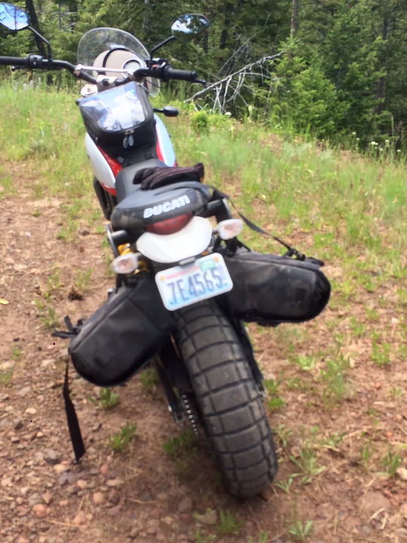 ducati desert sled panniers
