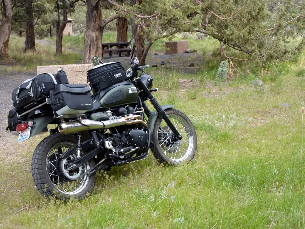 triumph scrambler luggage