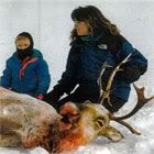 palin-moose.jpg