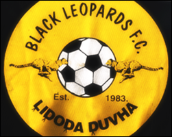 leopards.png