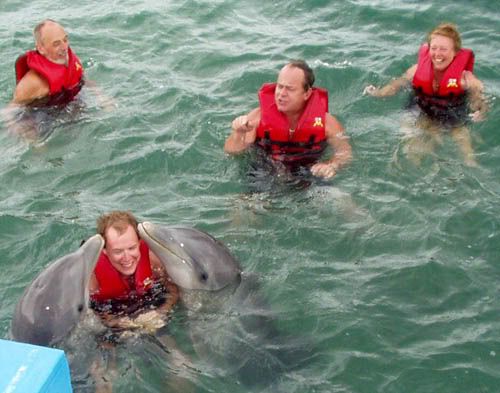 http://img.photobucket.com/albums/v288/Dazbo5/Dolphin-cuba2.jpg