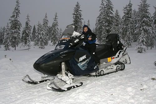 http://img.photobucket.com/albums/v288/Dazbo5/Skidoo1.jpg