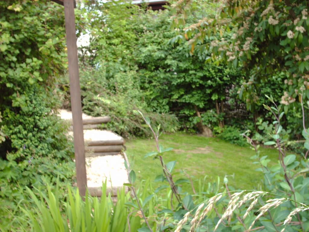 garden017.jpg