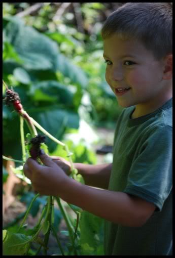 Connor,gardening