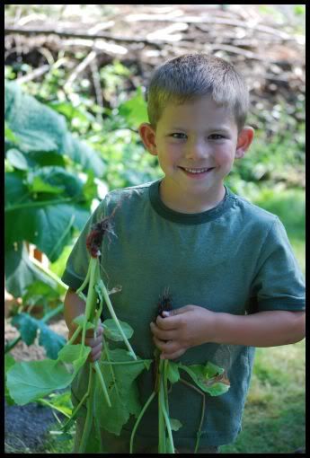 Connor,gardening