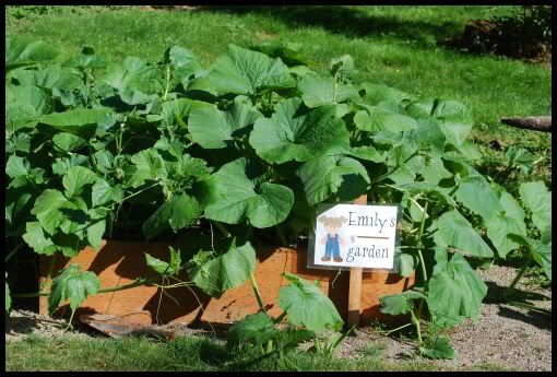 gardening