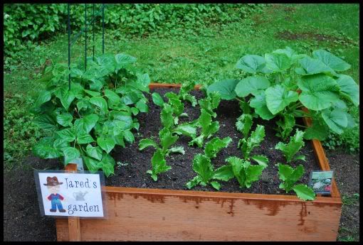 gardening