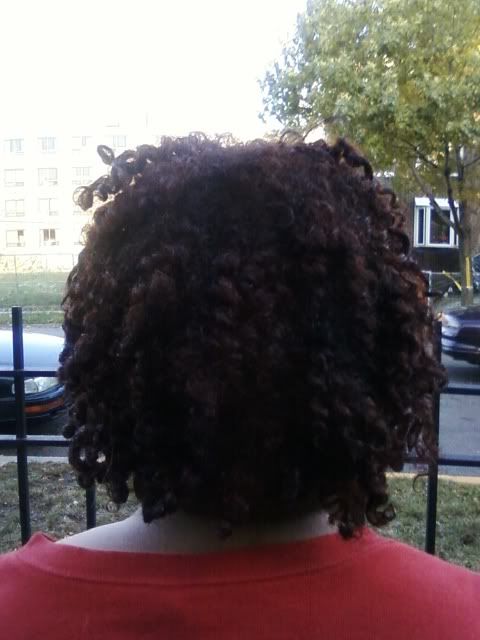 backoftwist1006.jpg