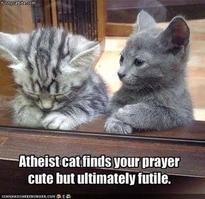 http://img.photobucket.com/albums/v288/stevetheq/atheistcat_zpsf15ccc9e.jpg