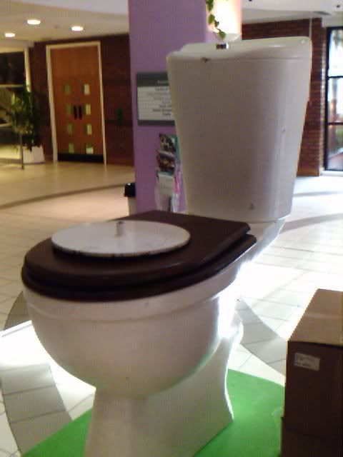 The giant toilet