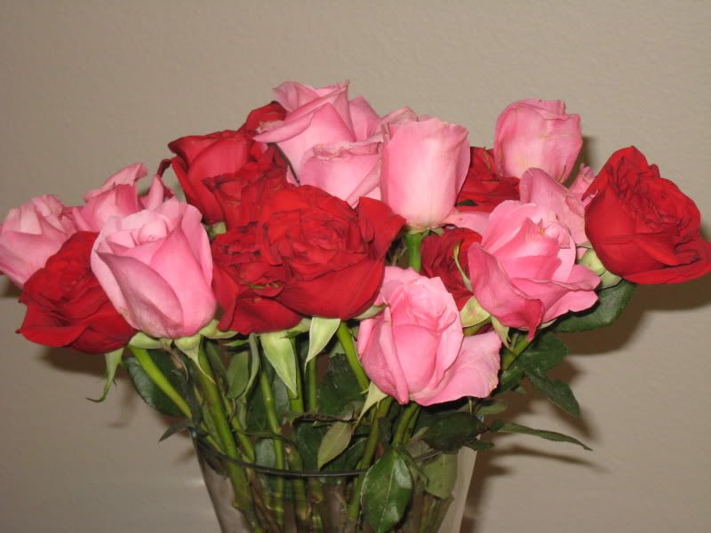 IMG_2016.jpg Roses  2 image mrlaypo