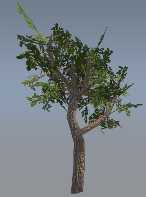 Tree.jpg