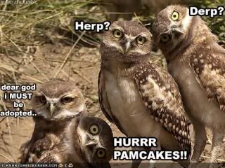 Forum Image: http://img.photobucket.com/albums/v29/Paula3000/herp_derp.jpg