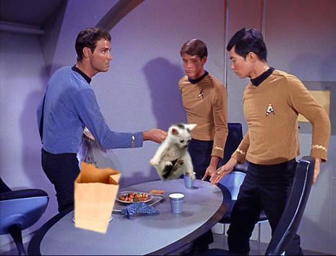catholdscruff.jpg