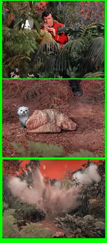 forfun.jpg
