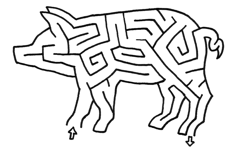 T Shaped Maze