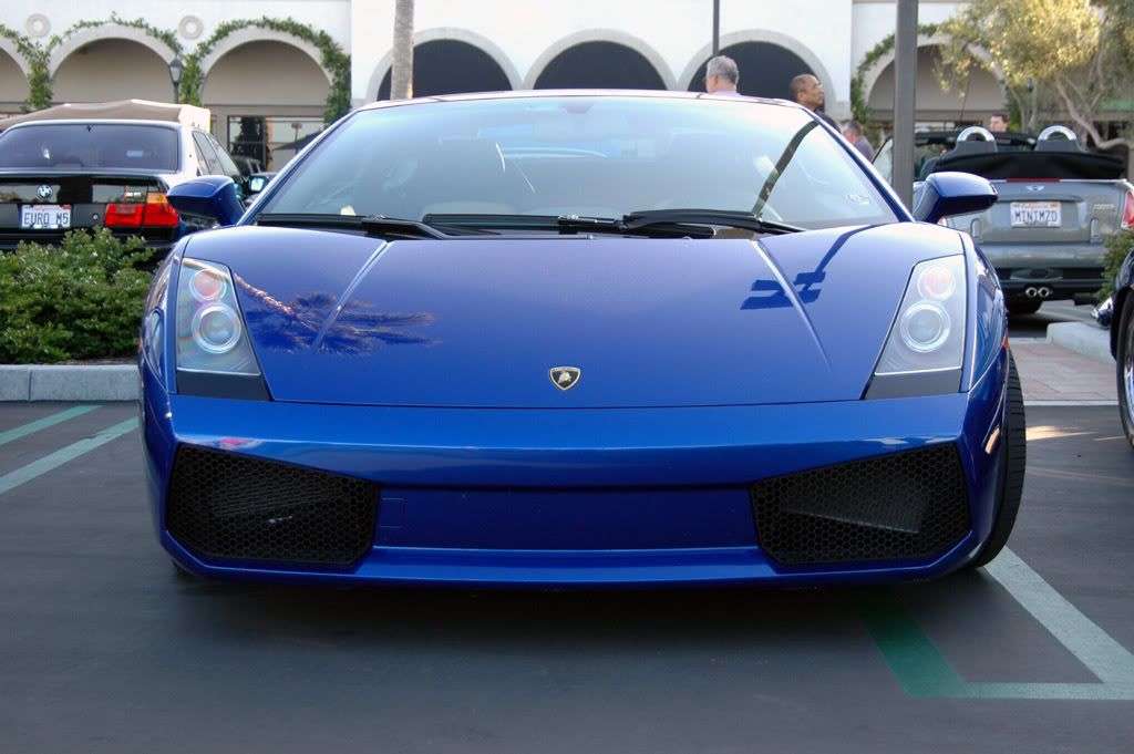 BlueGallardo.jpg