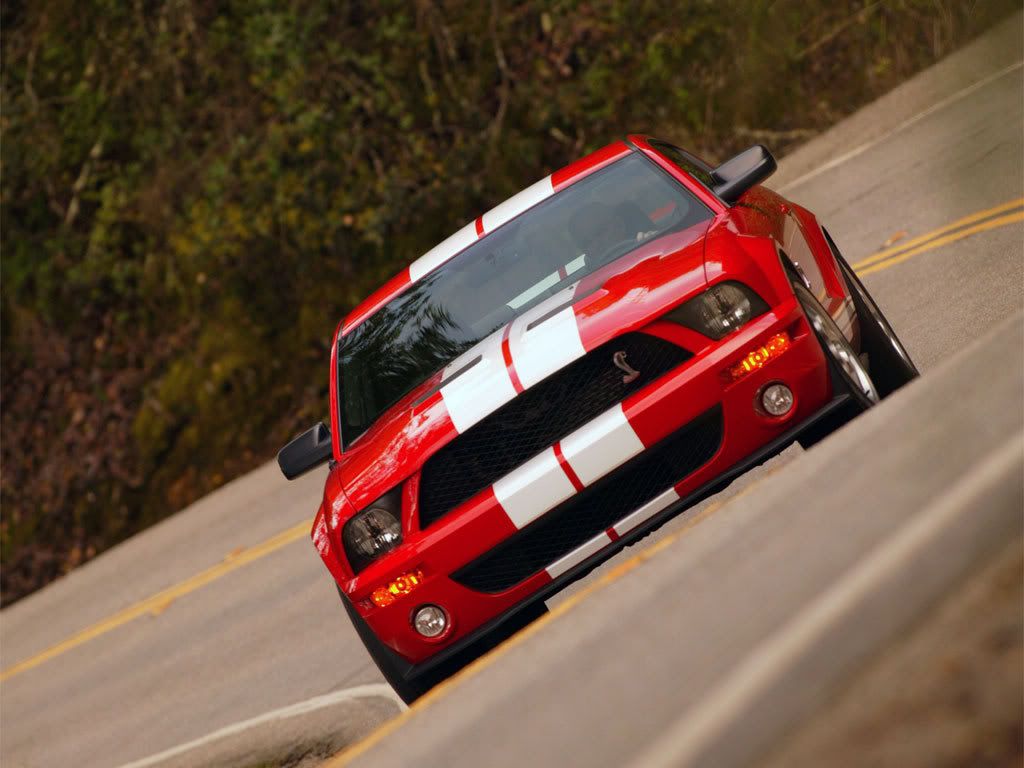 shelbygt50007_23.jpg