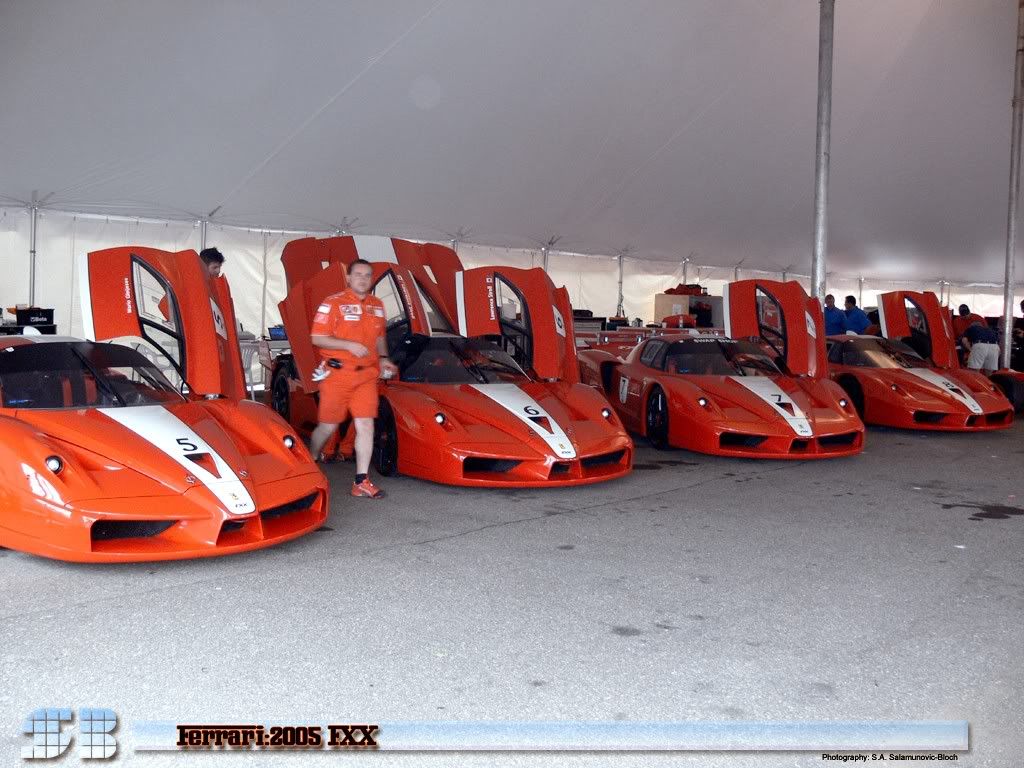 fxx008.jpg