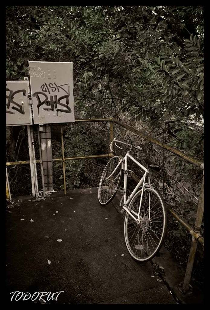 IMAGE: http://img.photobucket.com/albums/v290/Mitsubishi_VR4/bike-web.jpg