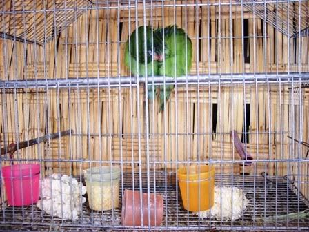 Photo Sharing and Video Hosting at Photobucket