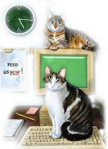 G_Cats_With_Computer.jpg