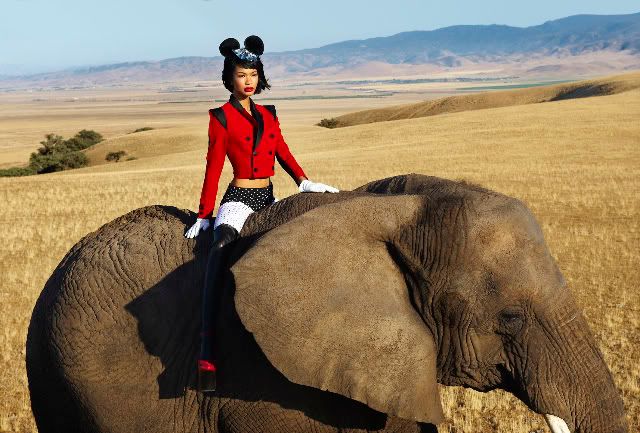 chanel iman victoria secret fashion show. Chanel Iman on an Elephant