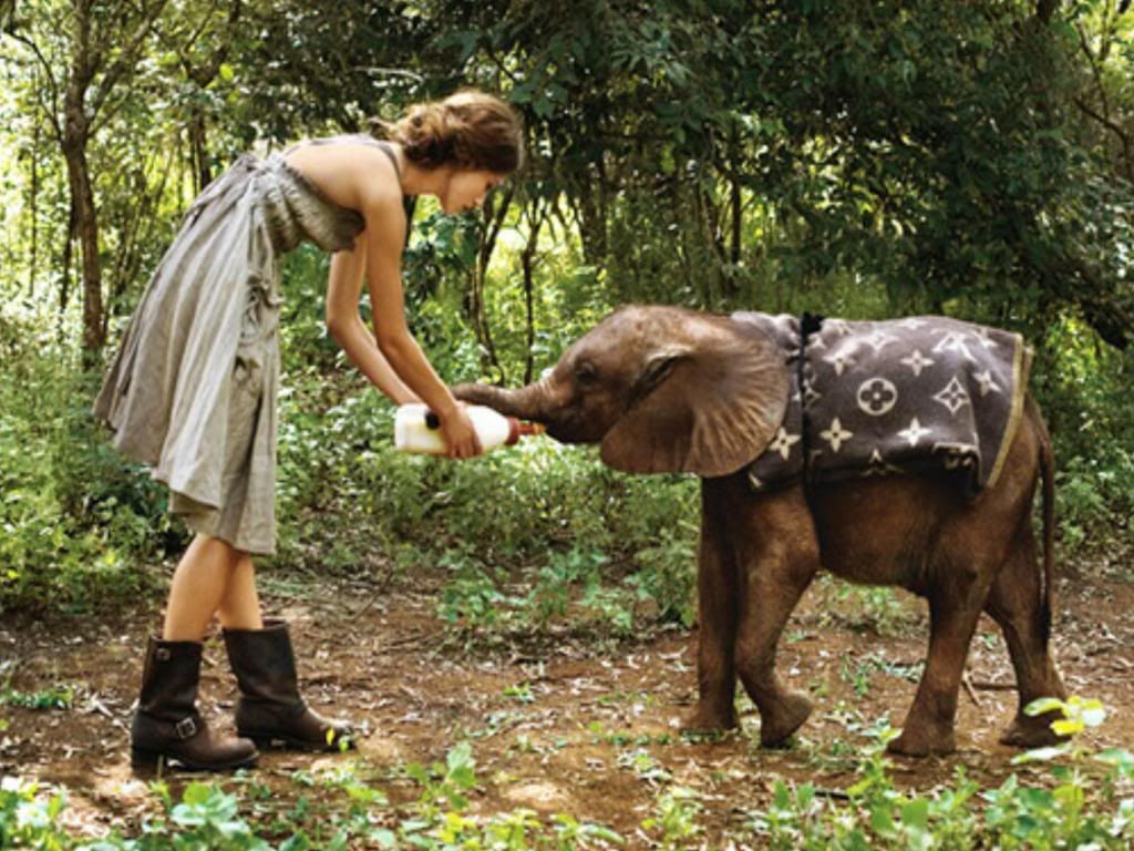 Keira Knightley and Elephant