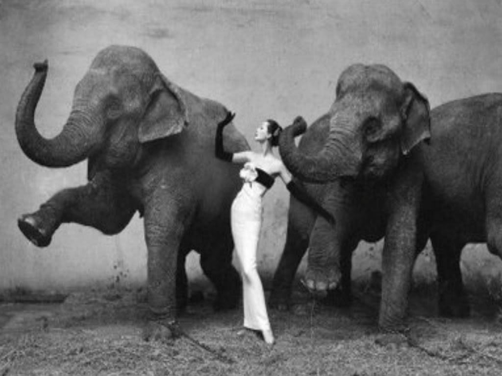 Richard Avedon