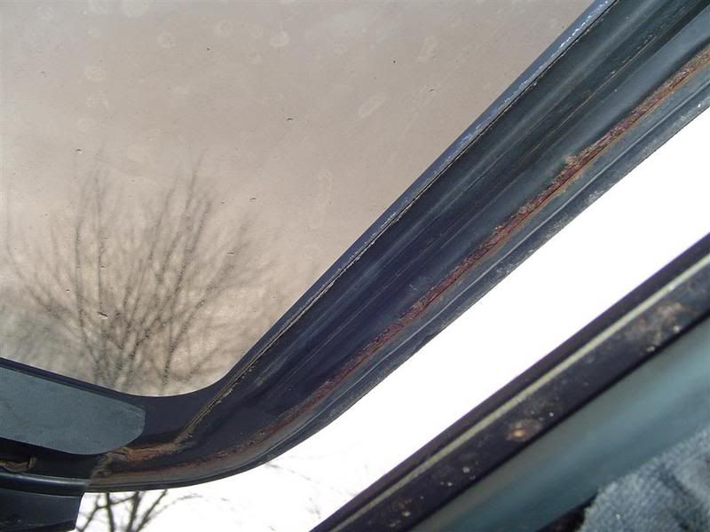 Sunroof8Large.jpg