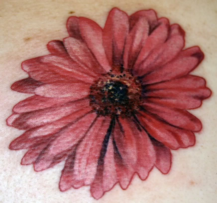 Gerber+daisy+flower+tattoo+designs