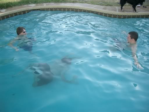 Photobucket - Video and Image Hosting