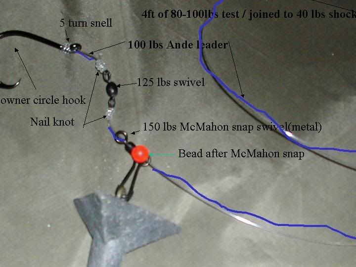 Virginia surf fishing..rookie help needed