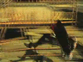 dmc4bm0.gif
