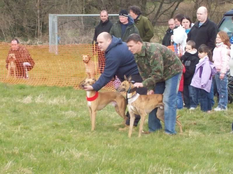 gamefair006.jpg