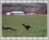 th_gamefair003.jpg