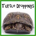 Turtle Droppings