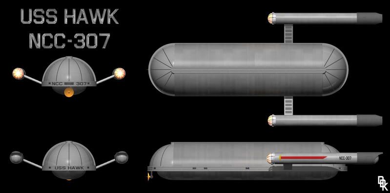 hawk4.jpg