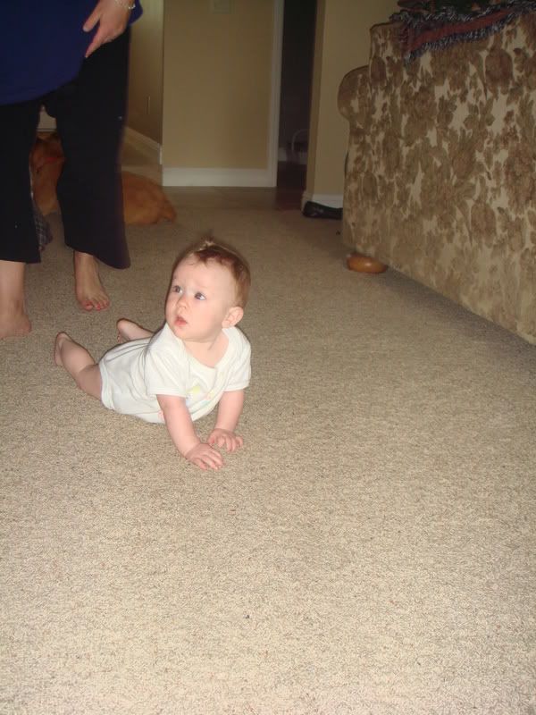 Crawlin