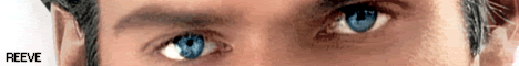 reevebannerani2.gif