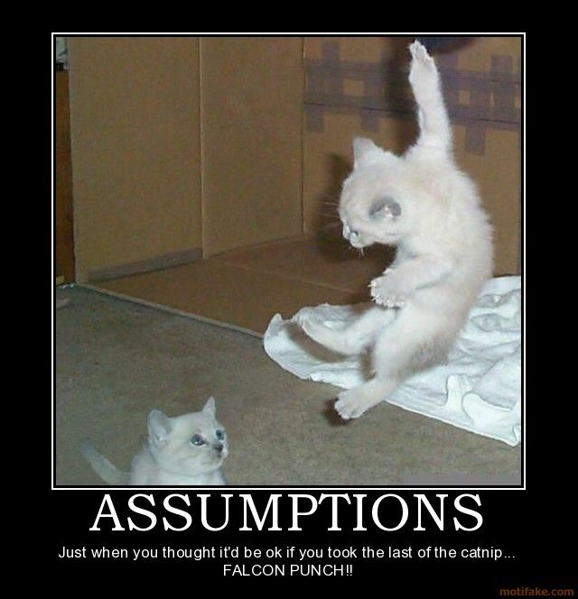 assumptions-cat-falcon-punch-demotivational-poster-1263167184.jpg