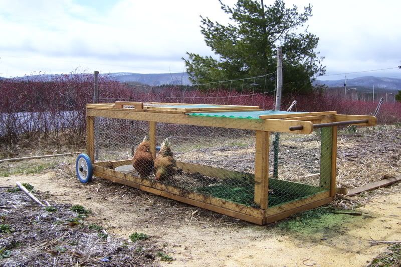 Chicken Tractor