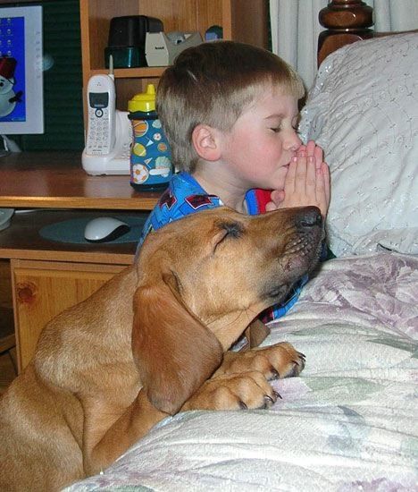boy20and20dog20praying.jpg