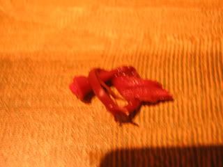 Image hosted by Photobucket.com