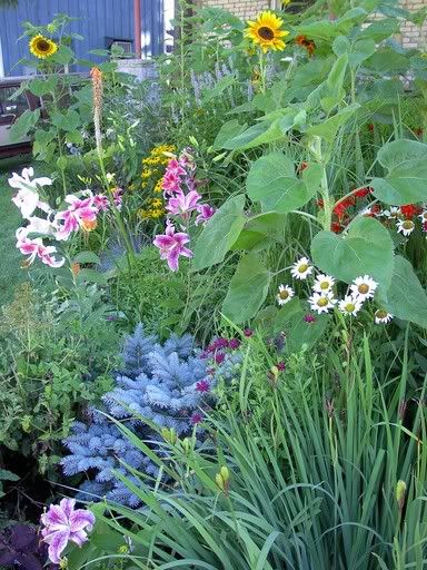 Image hosted by Photobucket.com