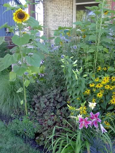 Image hosted by Photobucket.com