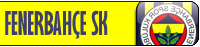 Vfenerbahce.png