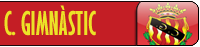 Vnastic.png