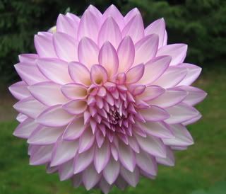 Photobucket Image Hosting